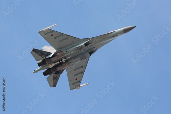 Fototapeta The fighter