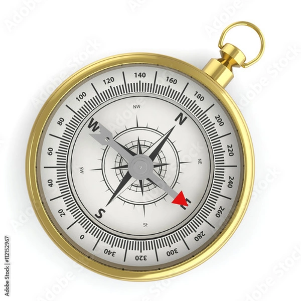 Obraz Compass isolated on white background with shadow