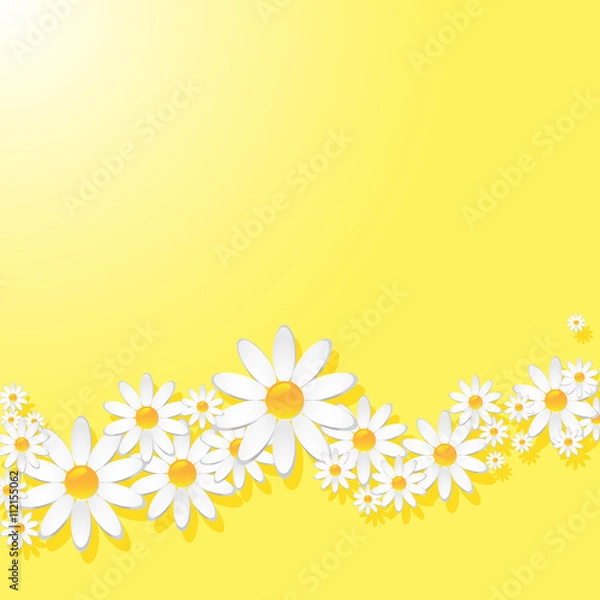 Fototapeta Chamomile background