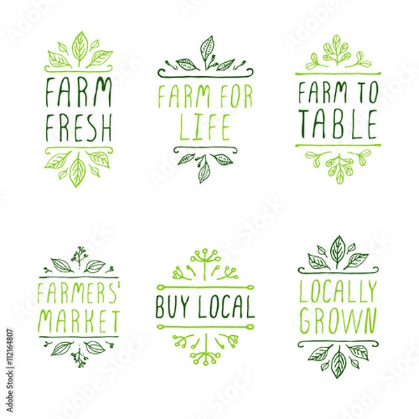 Obraz Hand-sketched typographic elements. Farm product labels.