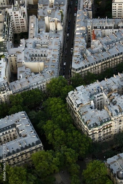 Obraz Paris view from above 