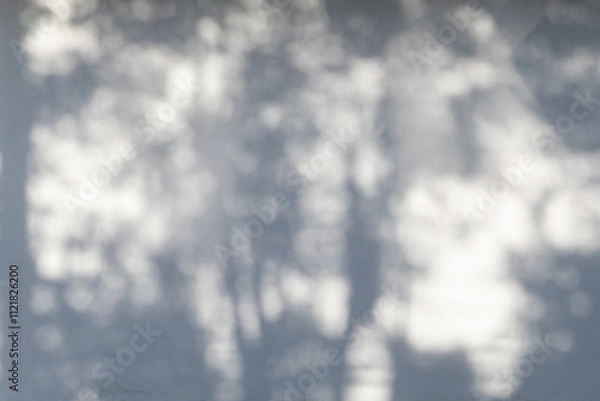 Obraz A blurry image of trees and leaves shadow on a white concrete background.