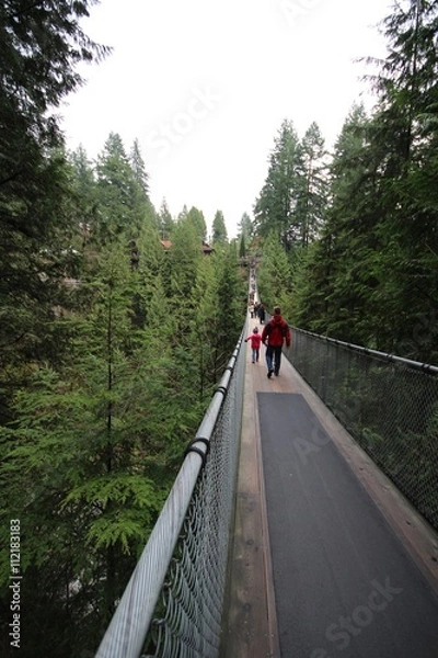 Fototapeta キャピラノ吊り橋