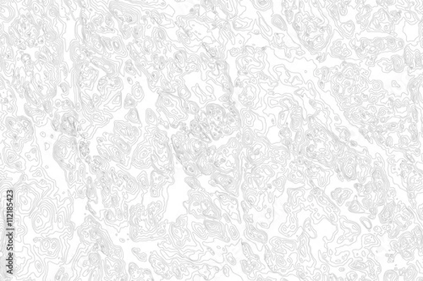 Fototapeta fictional topographic map, vector background