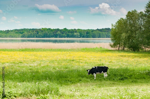 Fototapeta Borki, Mazury