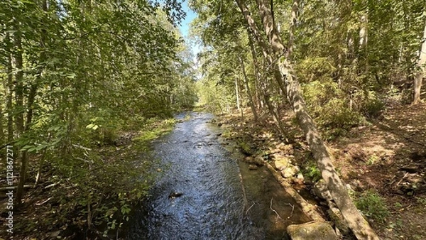 Obraz water flowing into the river