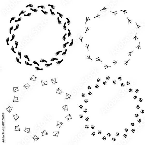 Fototapeta Vector set of footprint frames. Set of isolated barefoot, bird footprint, cat or dog footprint. Design for cards, brochure, booklet, banner, flier, website.