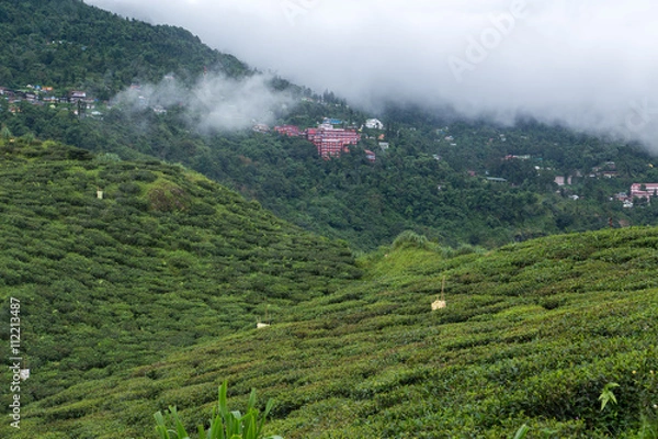 Obraz インド、ダージリンの山々