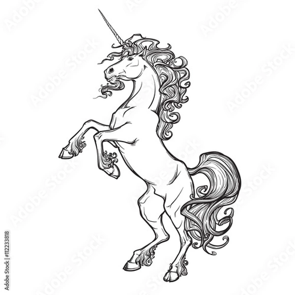 Obraz Hodowla jednorożca na białym tle