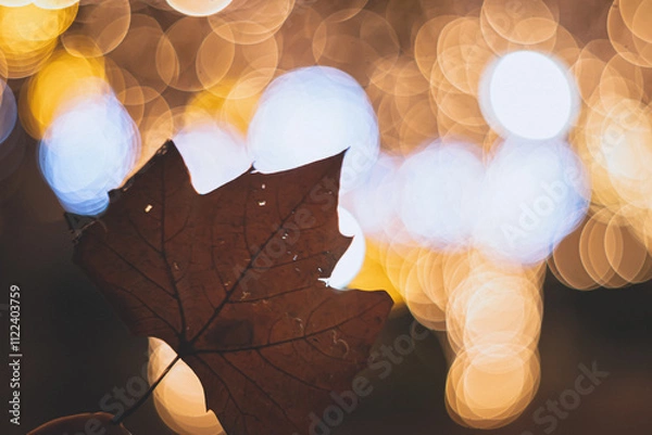 Obraz イルミネーション