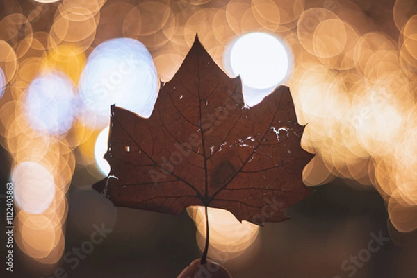 Obraz イルミネーション