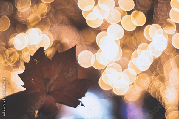 Obraz イルミネーション