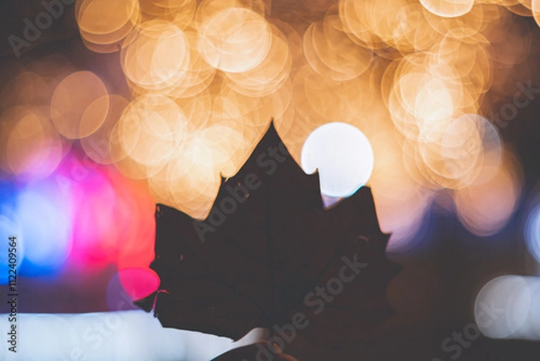 Obraz イルミネーション