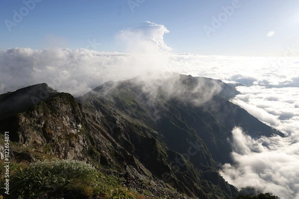 Obraz 白馬岳頂上からの雲海