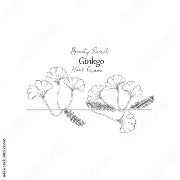 Fototapeta Vector illustration of Ginkgo biloba flower and branch frame.
