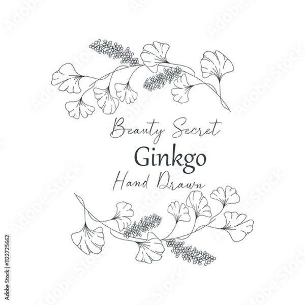 Fototapeta Vector illustration of Ginkgo biloba flower and branch frame.