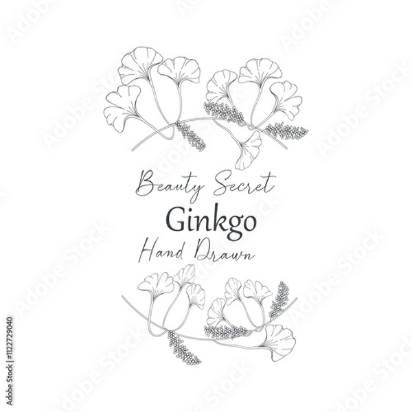 Fototapeta Vector illustration of Ginkgo biloba flower and branch frame.
