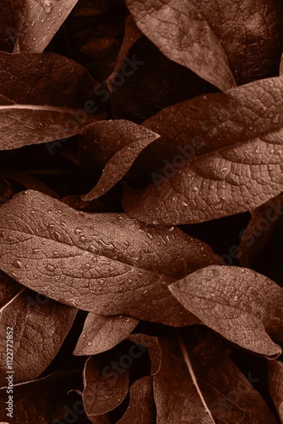 Fototapeta Leaf with water drops. Mocha Mousse texture abstract background. Color of the Year 2025 Mocha Mousse color. Chocolate or Brown Background