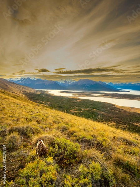 Fototapeta A scenic view from Cerro Crystal, Patagonia, featuring a Crested Caracara amidst golden grasslands, overlooking tranquil lakes, rugged mountains, and a dramatic evening sky.