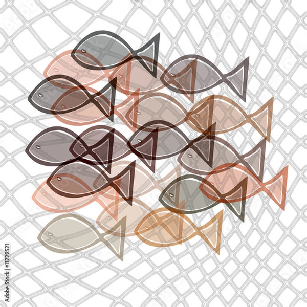 Fototapeta fishes catched in net