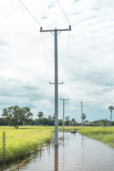Obraz  flooded rice field in Thailand, showcasing the reflection of the sky on the water's surface. This image captures the reality of agricultural life, natural irrigation, and the resilience of local farm