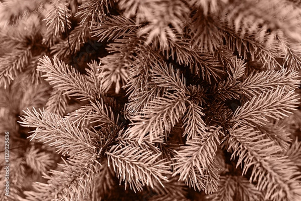 Fototapeta A close up of pine tree with many branches. Color of the Year 2025 Mocha Mousse color. Chocolate or Brown Background