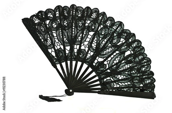 Obraz Lace Fan