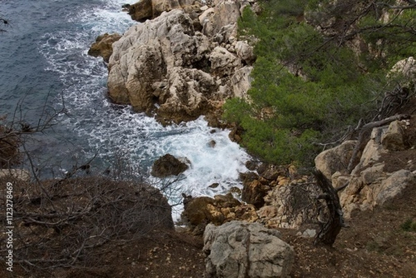 Obraz rocks in the sea