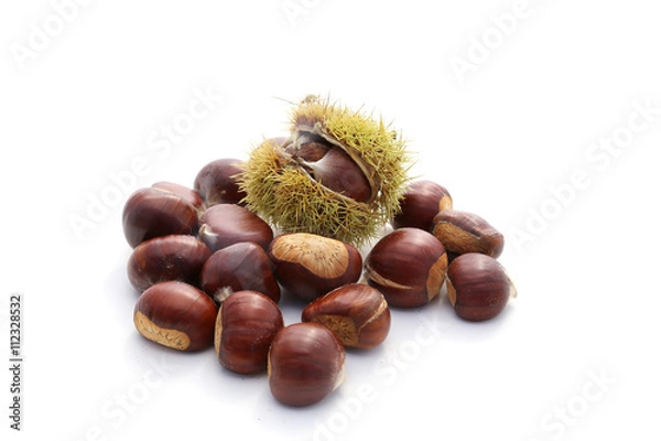 Obraz châtaignes