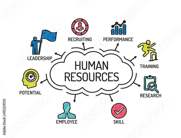 Fototapeta Human Resources. Chart with keywords and icons. Sketch