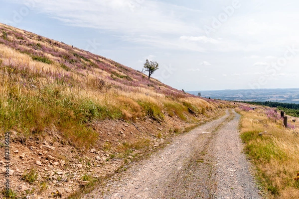 Fototapeta Landschaft im Harz