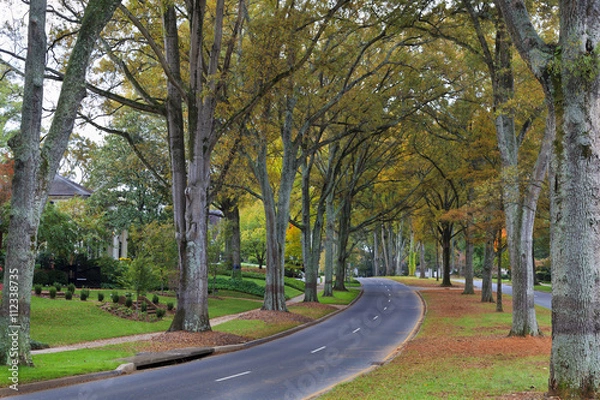 Obraz Queens Road West in Charlotte, North Carolina in Autumn