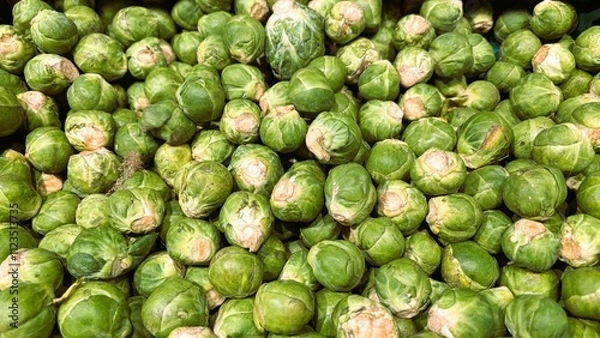 Obraz Rosenkohl im Korb / brussel sprouts in a box