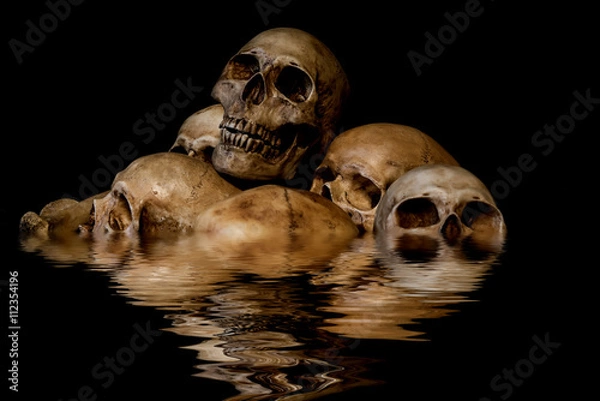 Fototapeta Pile of skulls and animal bones with water reflection. Genocides concept, creepy horror darkness halloween