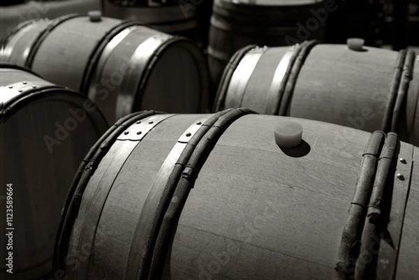 Obraz wine barrels