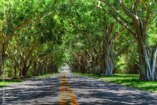 Obraz Bridge Road Jupiter Island Florida