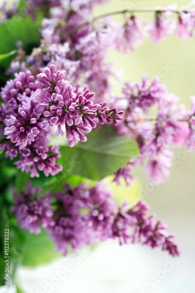 Obraz Lilac Purple Twig