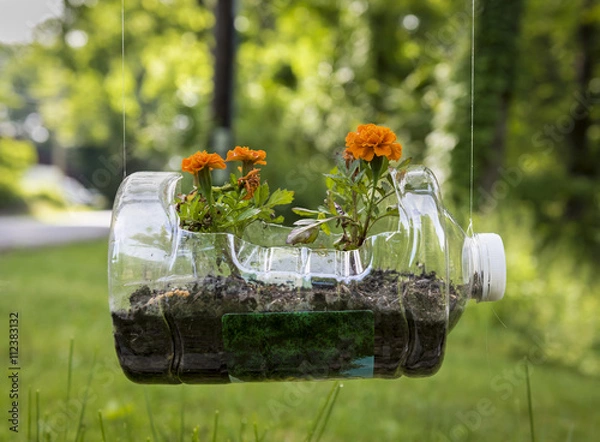 Obraz Plastikowa donica z recyklingu z pelargoniami: stary plastikowy dzbanek poddany recyklingowi do użytku jako wisząca donica z pomarańczowymi pelargoniami