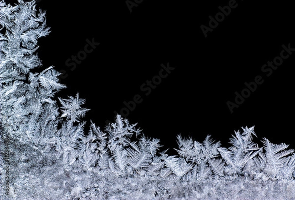 Fototapeta iceflower