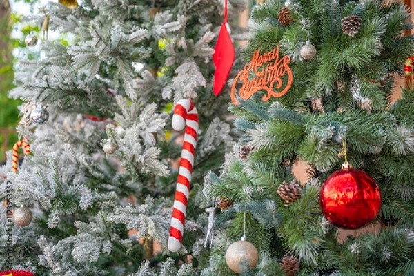 Fototapeta Christmas tree decorated with red and white stars and balls. Selective focus.