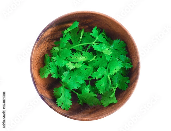 Obraz Top view of fresh coriander leaves in wooden bowl on transparent png