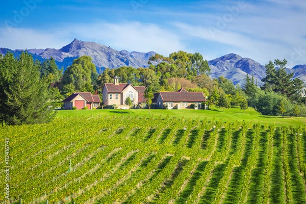 Obraz Region Small Vineyard Marlborough, Nowa Zelandia