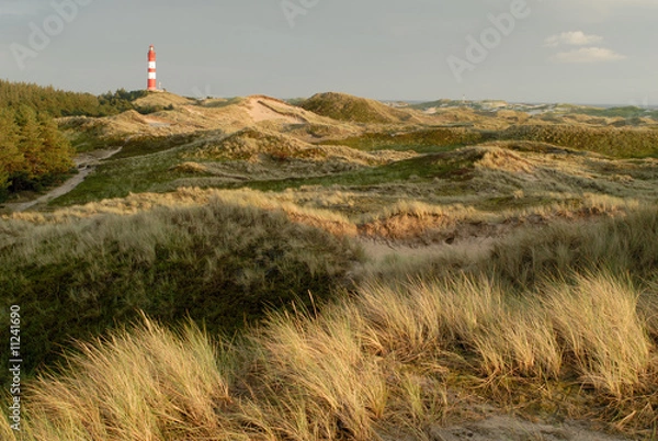 Obraz Amrum Leuchtturm