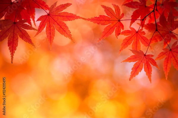 Obraz 秋からの贈りもの