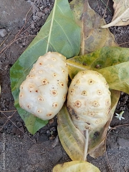 Fototapeta Noni fruit