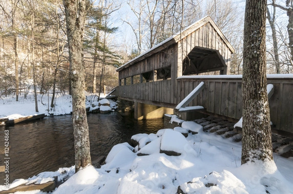 Obraz Covered bridge after snow