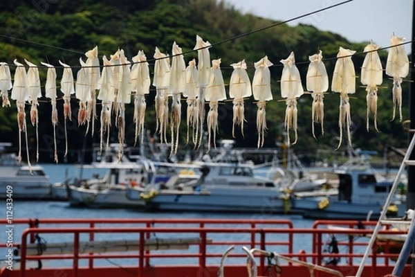 Obraz 呼子港のイカ
