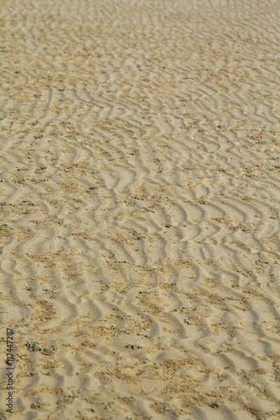 Obraz The beach and sand.