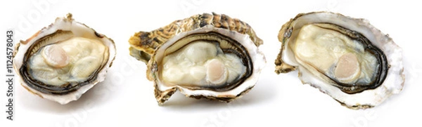 Obraz Fresh opened oyster on white background