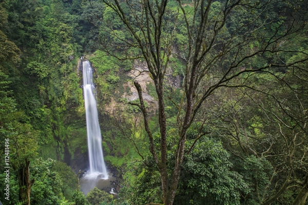 Fototapeta Tropical Waterfall
